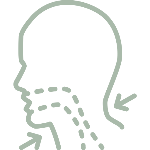 Otorrinolaringologia Adulta